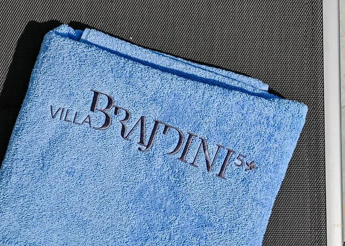 Luxury Brajdini Vila *